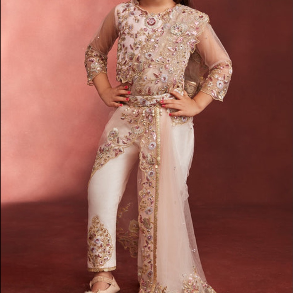 Ethnic pant style saree